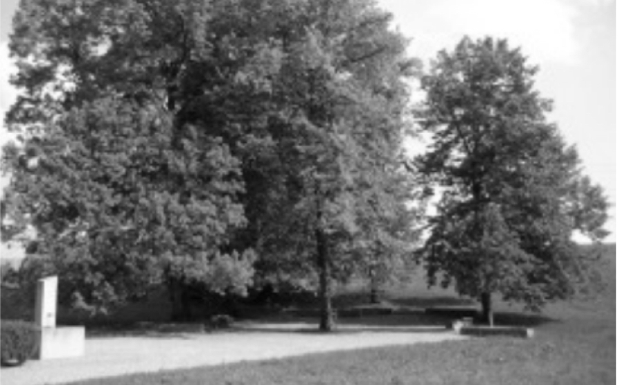 geschichte 3