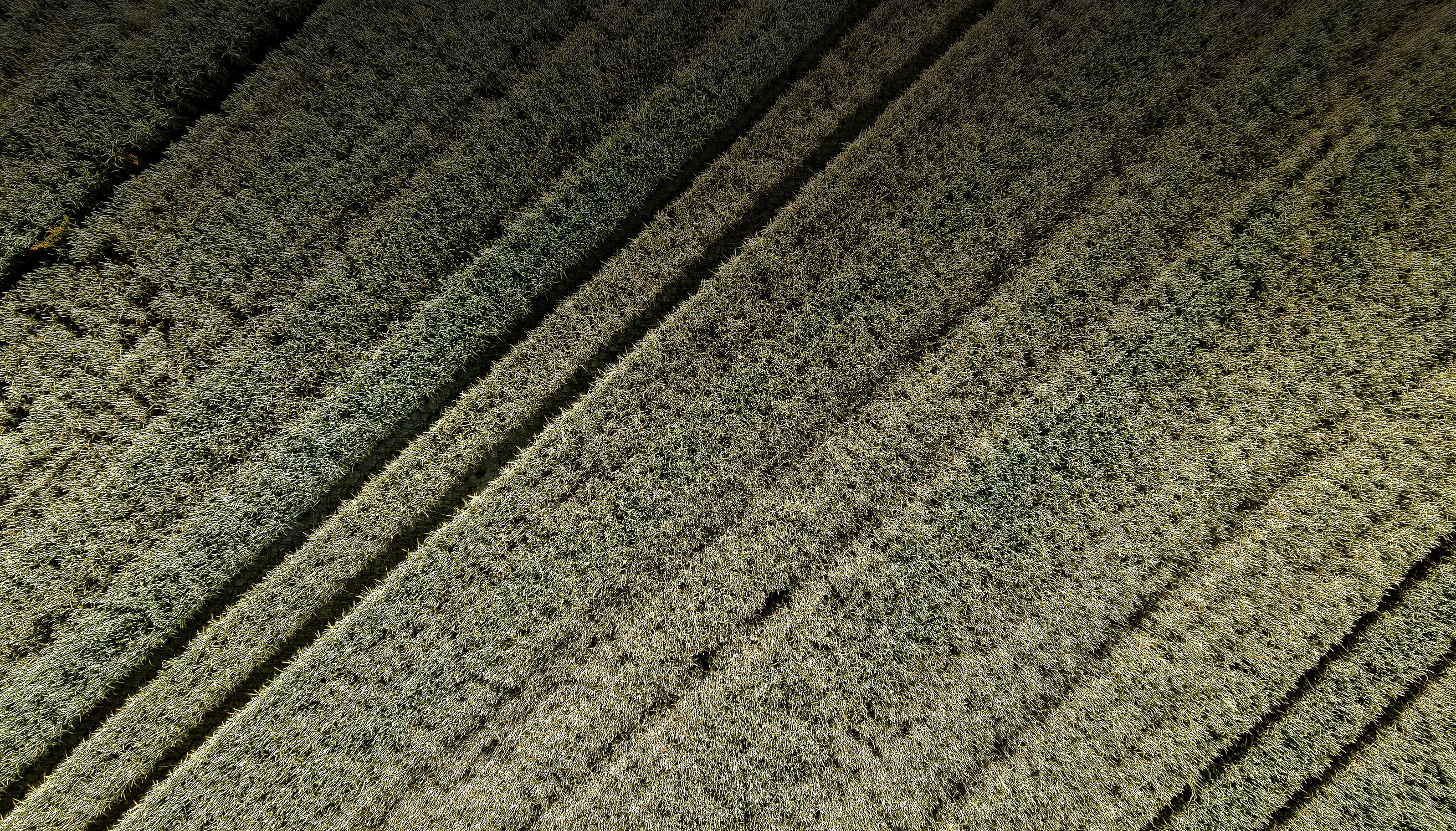 Landwirtschaft 1 header